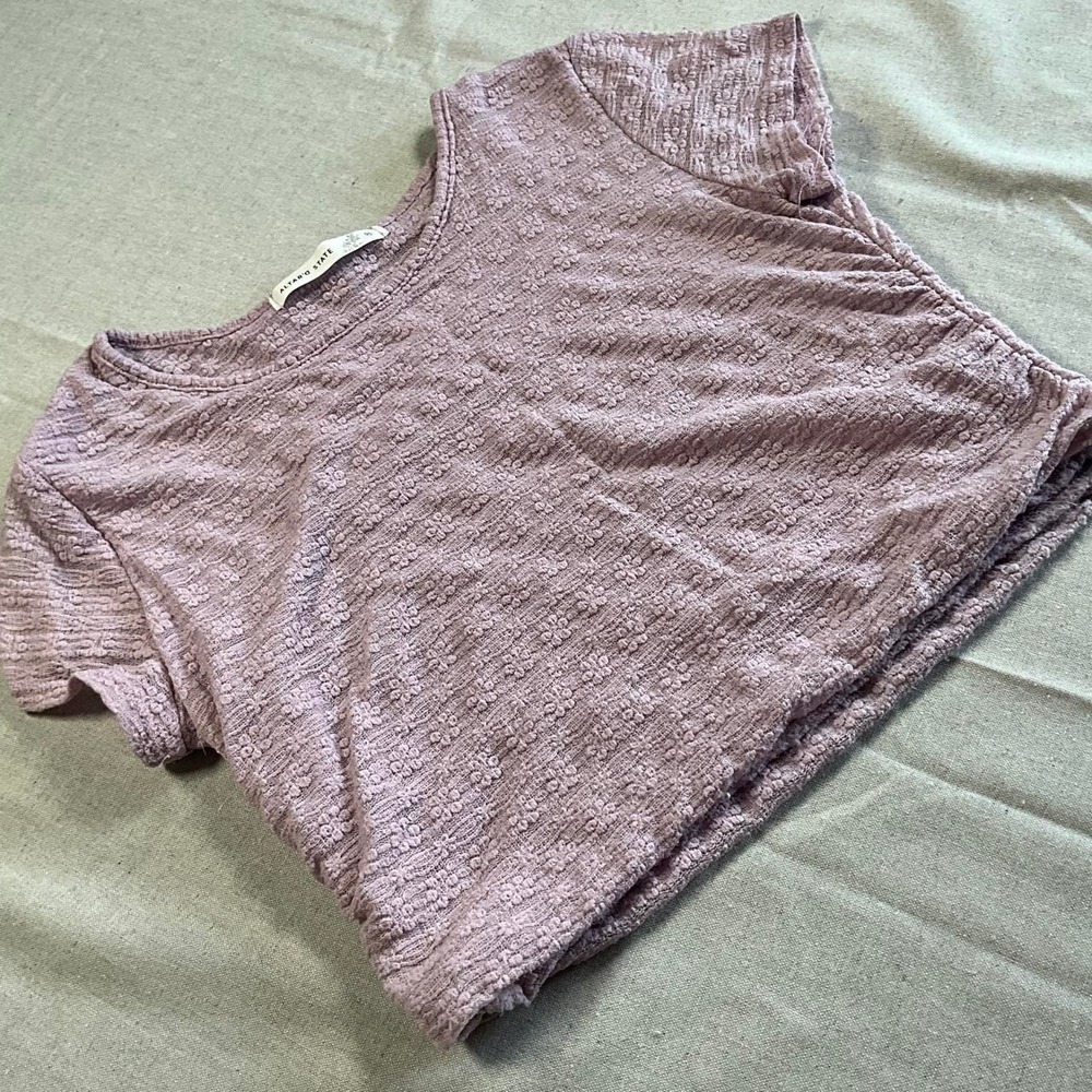 Womens Altar'd State Nylon Spandex Mauve Lace Crop Top (Medium)